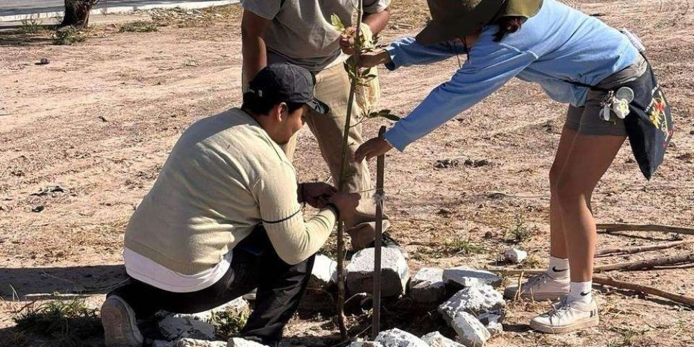 61d44606-3692-4e3f-a616-e281126e1f48