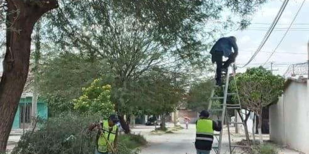 65c124ce-f84a-4190-ae79-f3837b585770