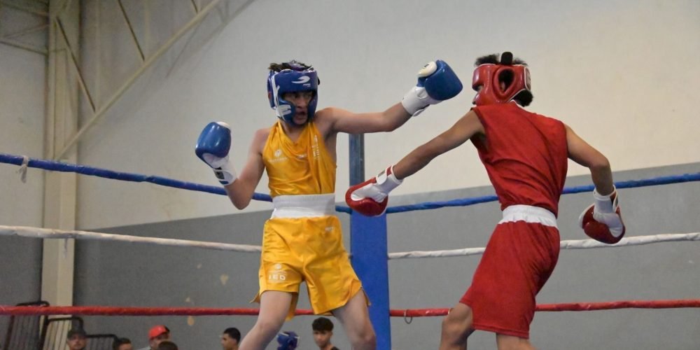 831412e9-88e7-445f-b255-166faaa1855c