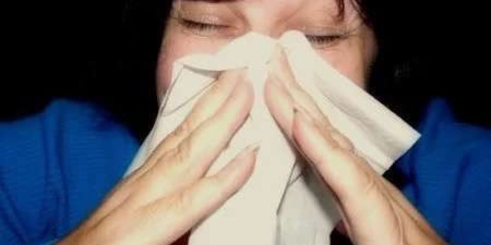 9bba3d5f-8c91-4bcc-9c0e-b0a84c2a72d1