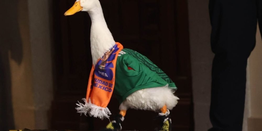 Merlín el pato mundialista