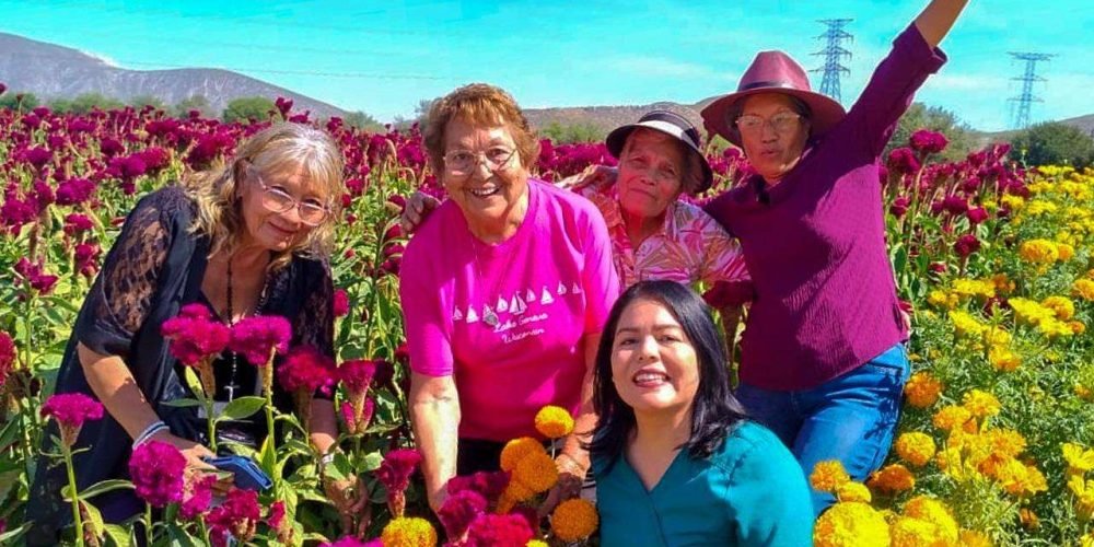 Actividades del taller “Nuevamente” fomentan la reflexión entre sus participantes