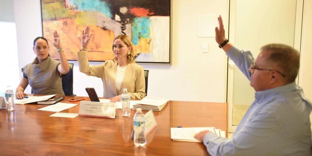 Aprueban renovación de convenio y apoyo económico para el Centro de Salud Mental A.C.