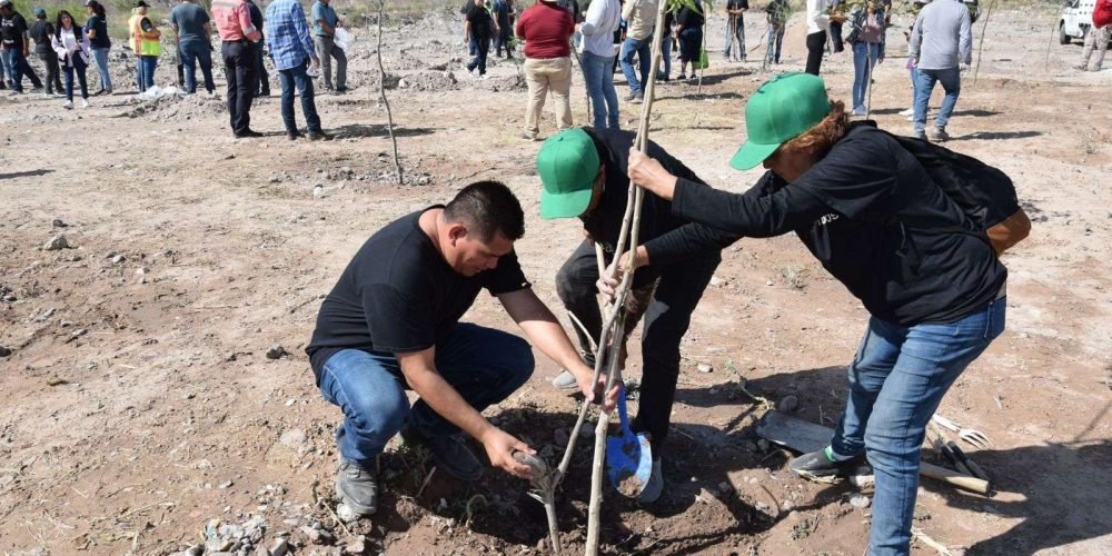 Ayuntamiento anuncia nueva reforestación en Bosque Río Nazas