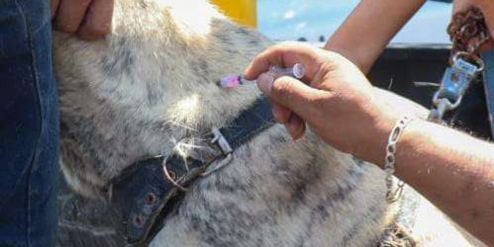 C899E0E6-F4FE-486D-99AC-3DD192D9224D