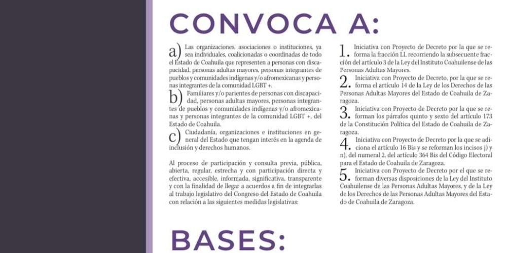 CONVOCATORIA CONSULTA LEGISLATIVA JPG