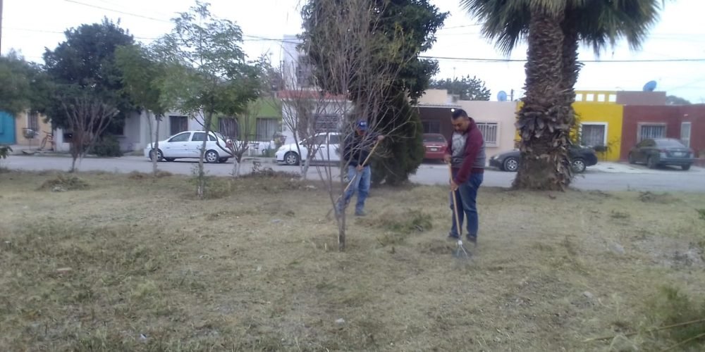 Ciudadanos agradecen a la alcaldesa Leticia Herrera Ale por las brigadas de limpieza