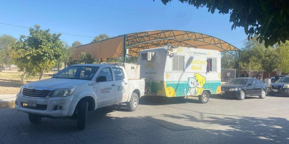 Control Canino realizó 190 esterilizaciones de perros y gatos en distintas colonias de Torreón
