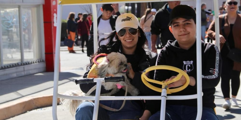 Deporte, cultura y entretenimiento familiar en el Paseo Colón