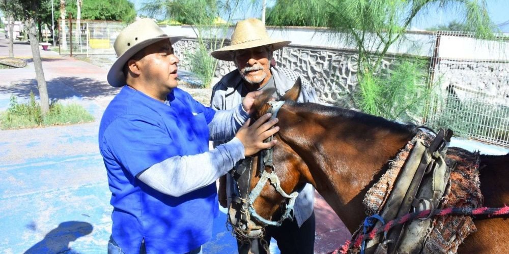 Destacan en reunión acciones en favor de los animales
