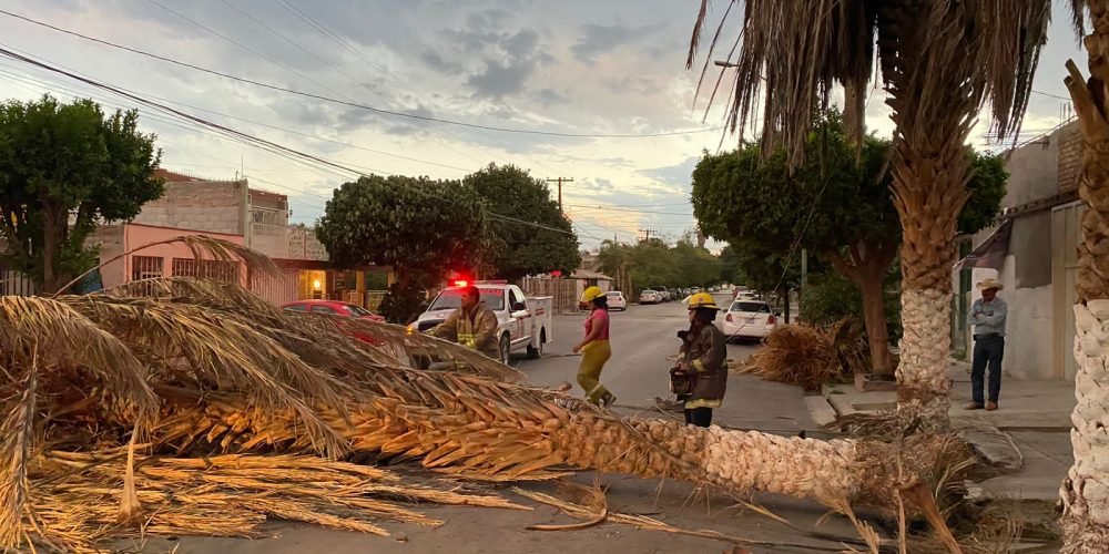 EA3B677D-612D-4DBA-AC4C-620EB6045C65