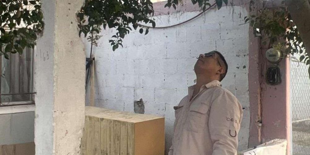 Exhorta Ecología Municipal a reportar enjambres de abejas para su rescate y reubicación segura