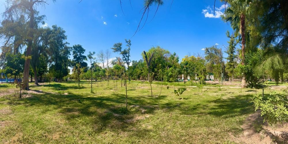 Fortalecen recuperación de áreas verdes en el Bosque Venustiano Carranza