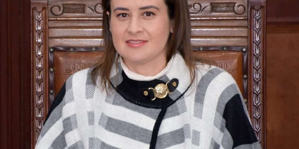 Foto. DIP BEATRIZ FRAUSTRO (2)