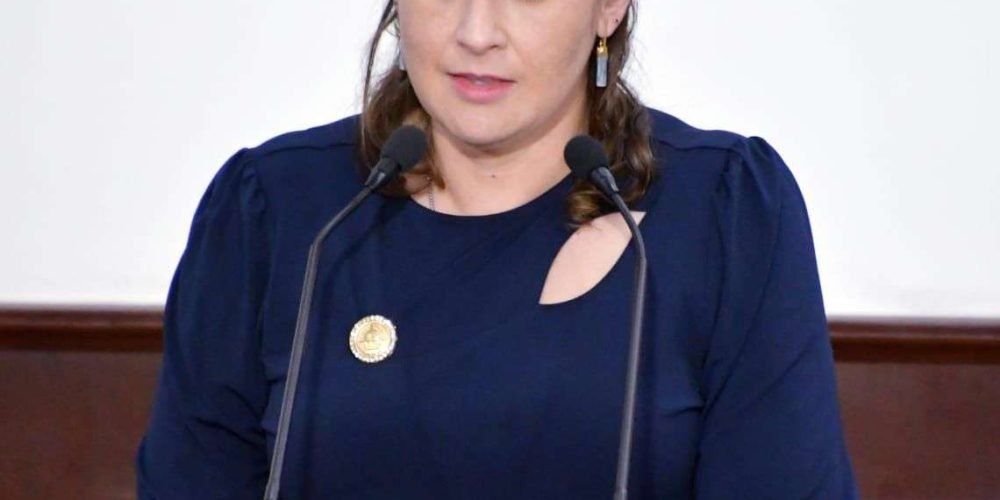 Foto. DIP BEATRIZ FRAUSTRO (4)