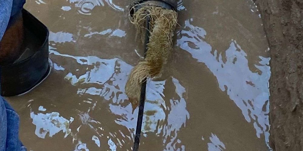 Imagen de WhatsApp 2024-11-02 a las 08.19.54_46cd6e63