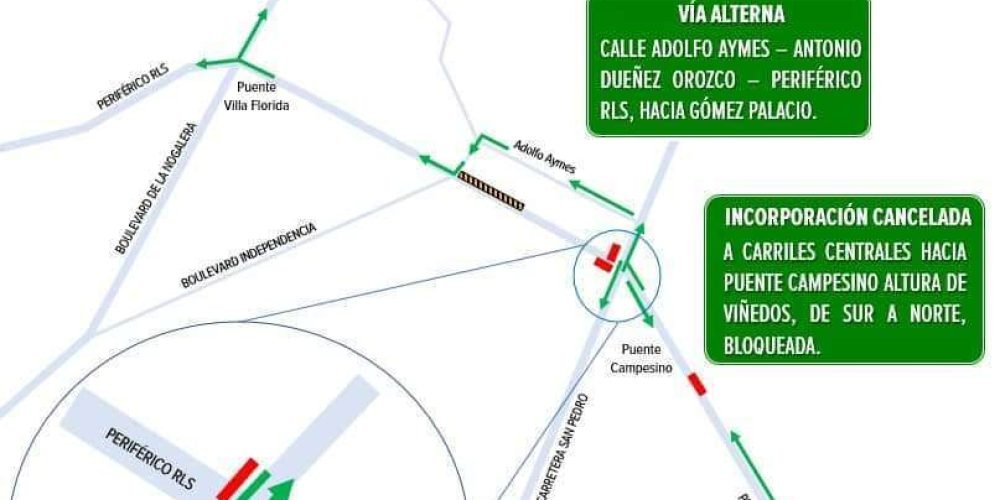 Imagen de WhatsApp 2024-11-08 a las 11.58.55_a34e5077