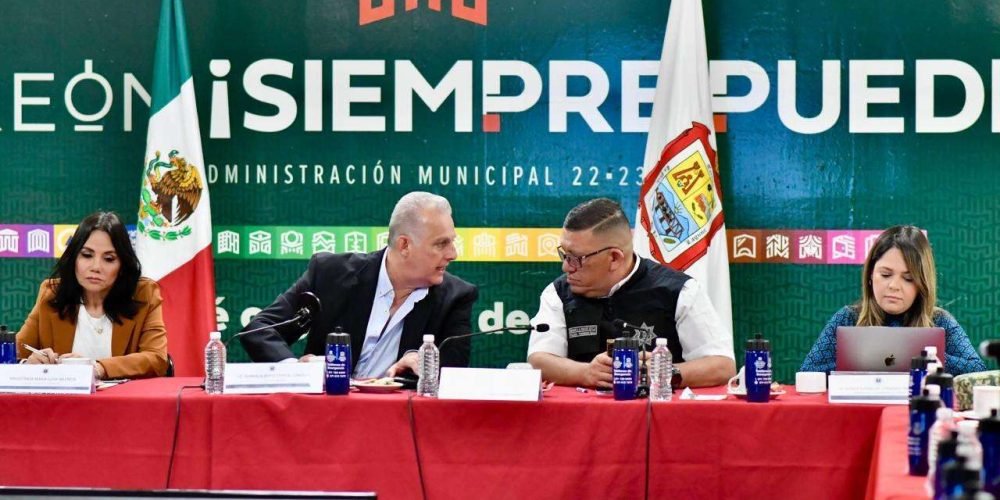 Imagen de WhatsApp 2024-11-15 a las 12.43.45_e6cea7c4