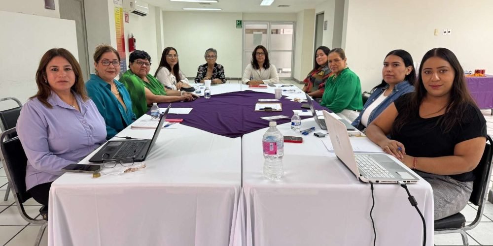 Instituto Municipal de la Mujer realiza mesa de trabajo con la colectiva Red de Mujeres de la Laguna
