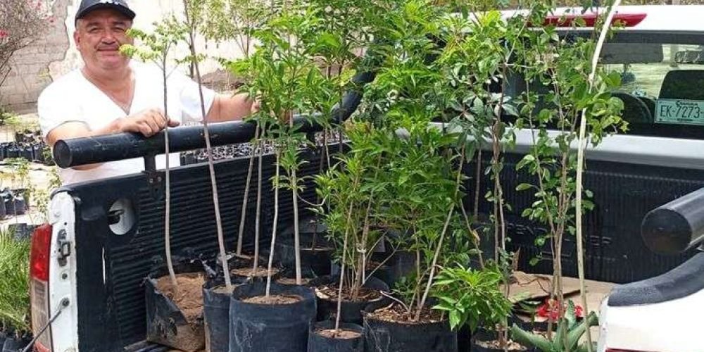 Invita Ayuntamiento de Gómez Palacio a sumarse a campaña de reforestación con especies nativas por el Día del Árbol