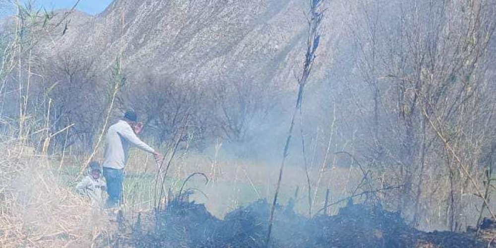 Invitan a turistas a respetar indicaciones para prevenir incendios forestales