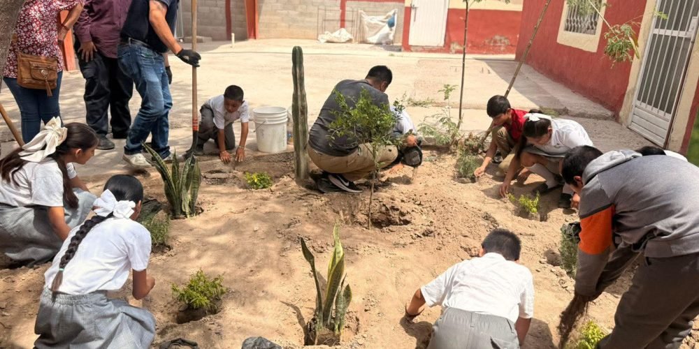 Medio Ambiente refuerza proyecto de jardines polinizadores en escuelas