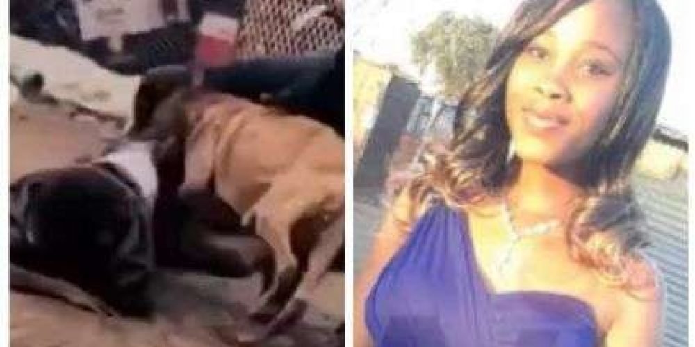 Perros-matan-mujer-que-golpeo-a-su-hijo