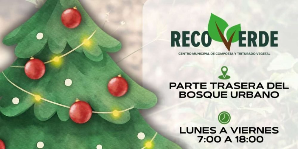 Programa Recoverde transforma los pinos navideños naturales en acolchado vegetal