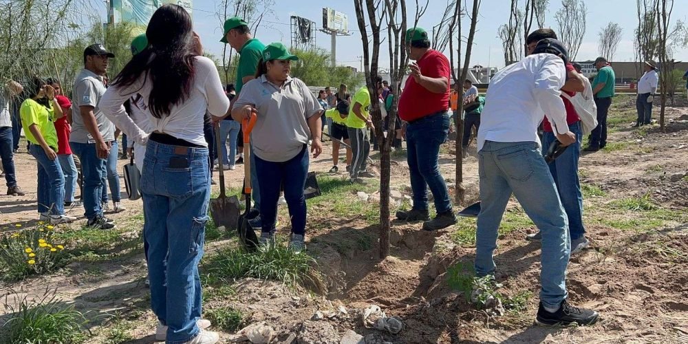 Reforestan Bosque Río Nazas con motivo del Día del Árbol en Gómez Palacio