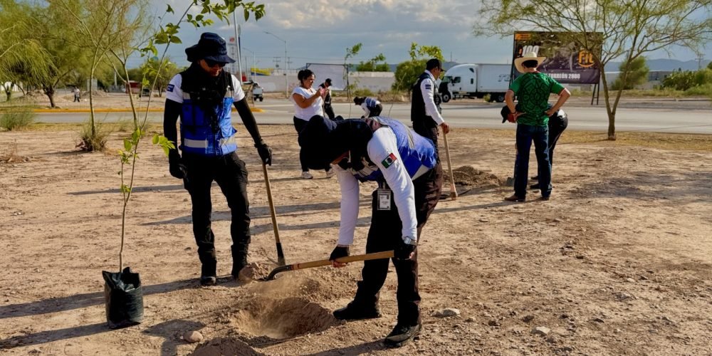 Reforestan espacio público en la colonia Rincones de la Joya