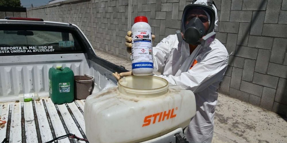 Refuerza Ayuntamiento de Gómez Palacio acciones contra garrapatas y mosquitos transmisores del dengue