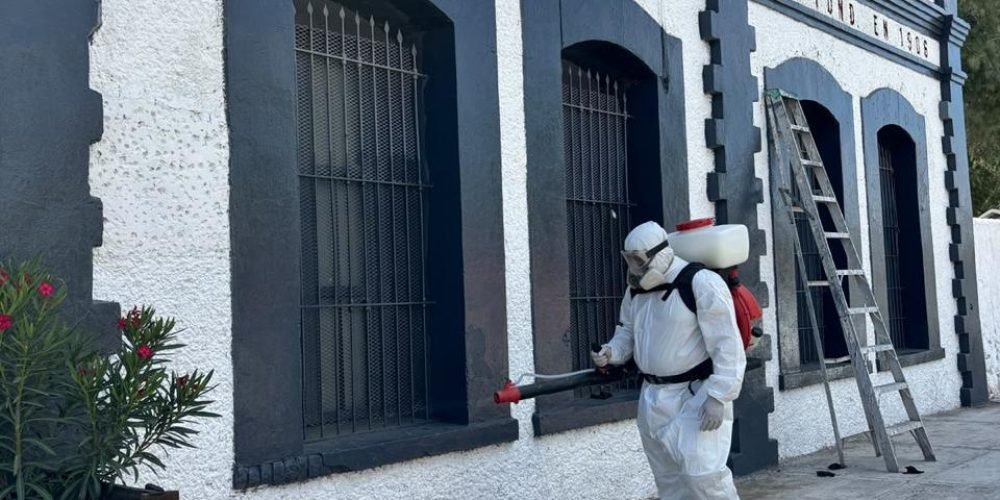 Refuerzan acciones de fumigación y control de plagas extienden jornada a Panteón Municipal
