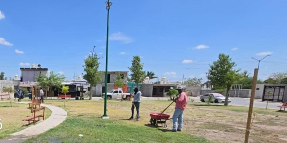 Refuerzan trabajos de limpieza y poda en plazas públicas de Lerdo
