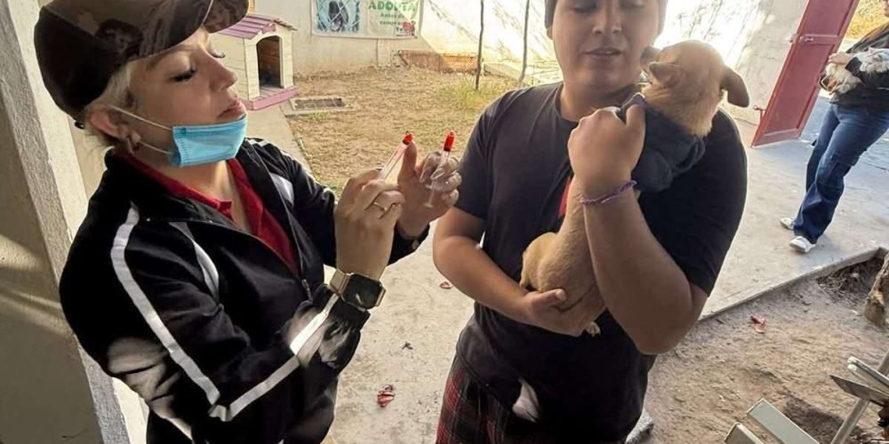 Salud Municipal impulsa la tenencia responsable de mascotas y la prevención de enfermedades zoonóticas