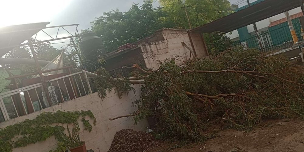 Se registran en Gómez Palacio daños mínimos ante fuerte tolvanera