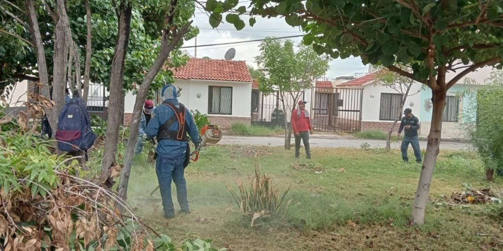 Servicios Públicos de Gómez Palacio, refuerza las medidas del Gobierno del Estado para evitar la proliferación del mosquito transmisor del dengue