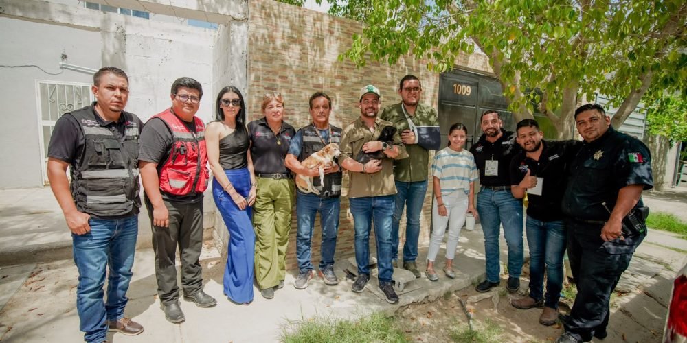 Torreón aplica otra multa por maltrato animal y rescata a dos perritas