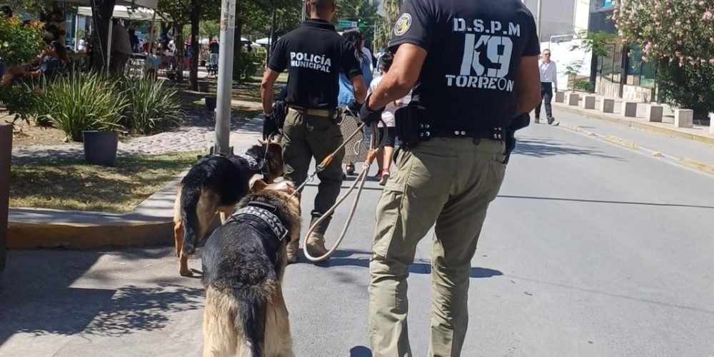 Unidad K9 de la DSPM consolida resultados en prevención detección de narcóticos y proximidad social