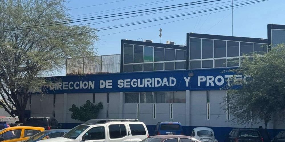 WhatsApp Image 2024-10-19 at 12.13.41 PM