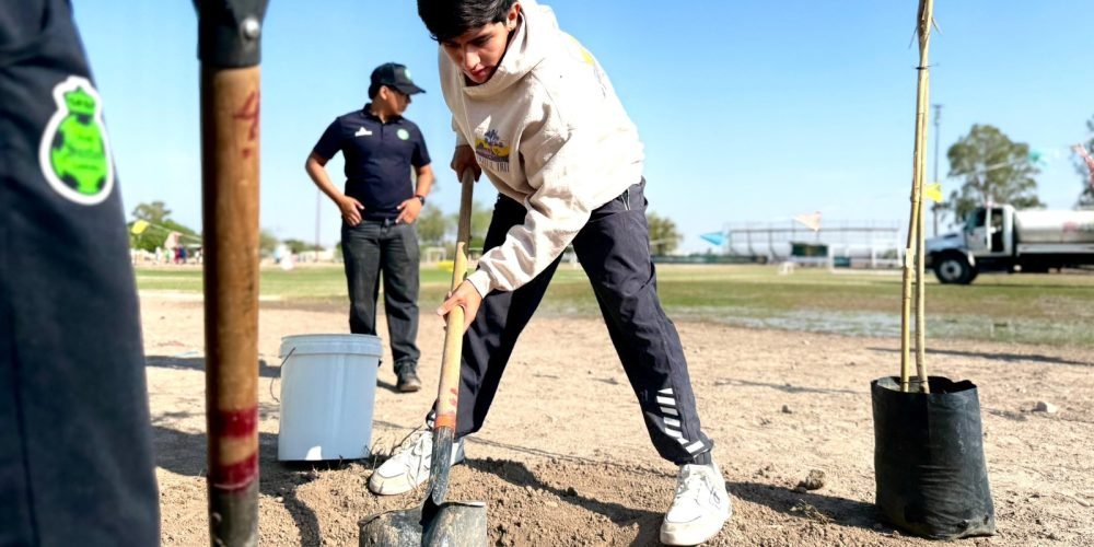 WhatsApp Image 2026-04-11 at 16.48.05 (1)