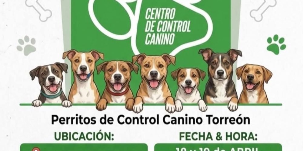 campañas-de-adopcion