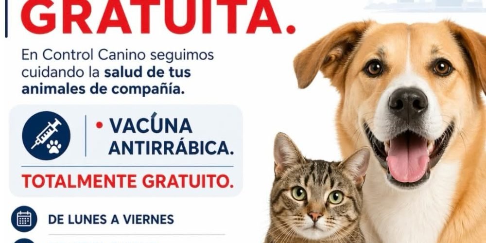 Mantienen jornada gratuita de vacunación antirrábica