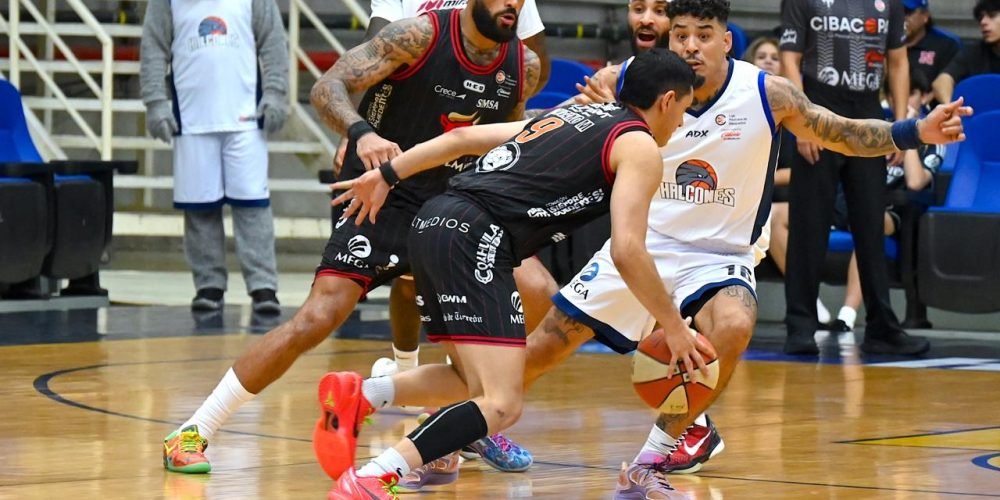 toros laguna