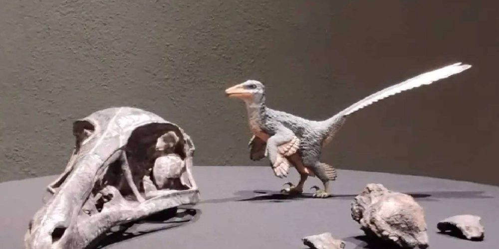 Xenovenator-espinosai-nuevo-dinosaurio-descubierto-coahuila
