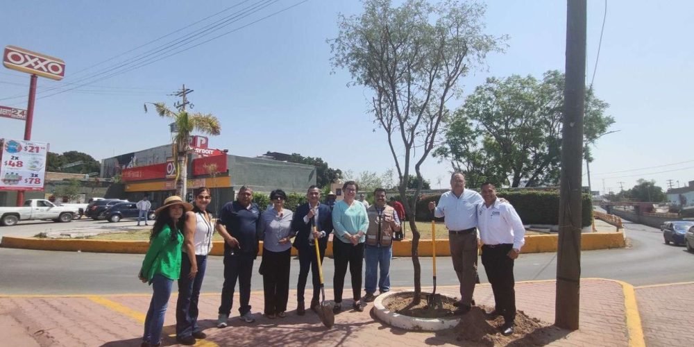 a1b90213-663e-4a37-a31d-c280be15f0c5