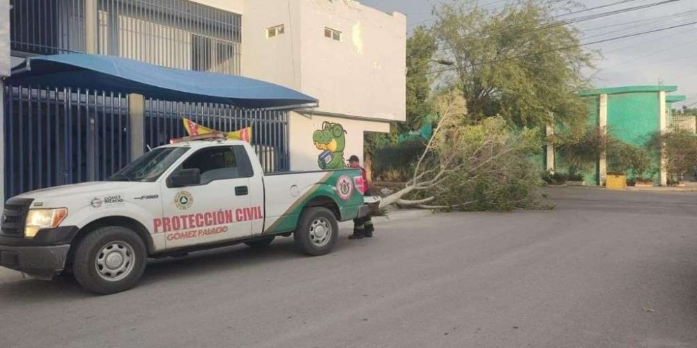 a7493730-c6aa-421f-a456-2d3cef63fb6d