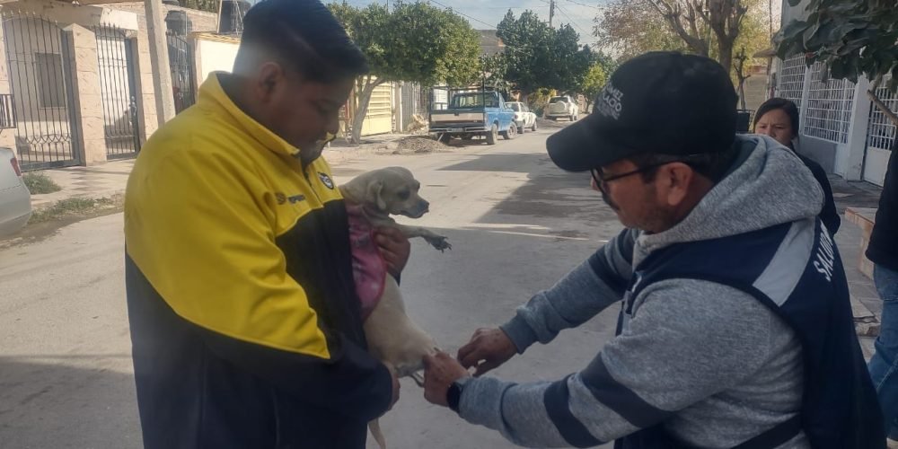 a7c80c13-4d30-47ae-b257-8c65b4aaccc6