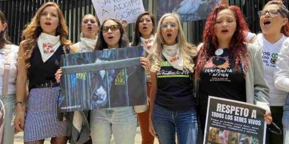 activistas-piden-destitucion-Adolfo-Gomez-senador-Morena-sacrificar-gallina