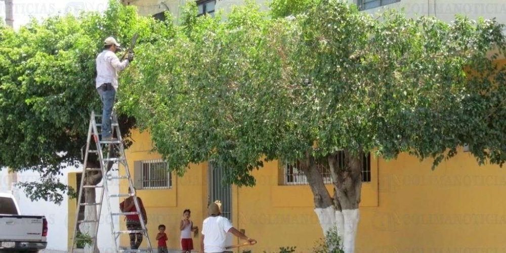 ae752fdb-cbff-46ee-a96f-6e20677cefa3