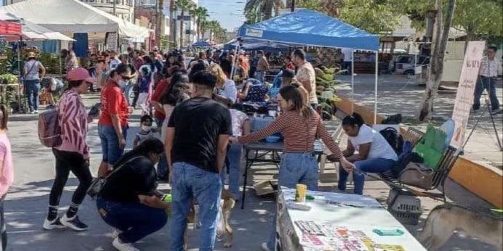 aee2810b-51e2-4b80-945f-e41990a22d40